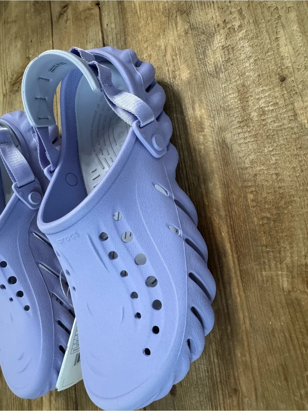 CROCS echo collection